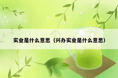 实业是啥么意思(兴办实业是啥么意思)